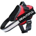 Reflective Dog Leash