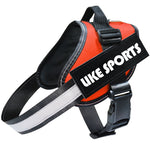 Reflective Dog Leash