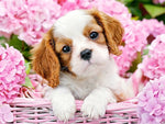 Cute puppy diamond drawing