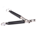 Pet Dog Cat Training