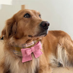 My Maillard Puppy Bow Bib